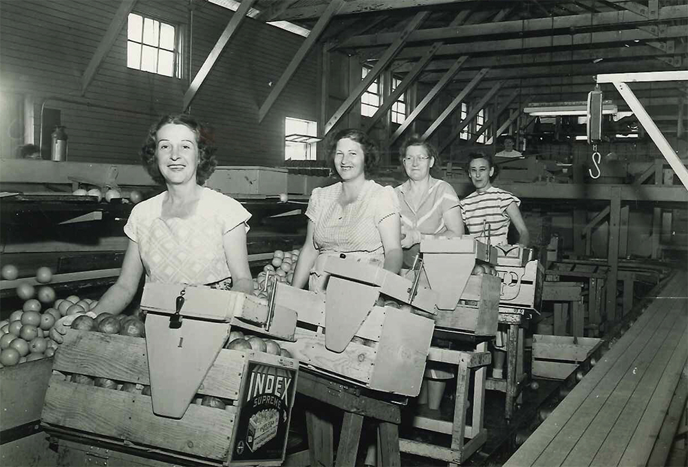 2013-Packinghouse-Pics-1950s-3